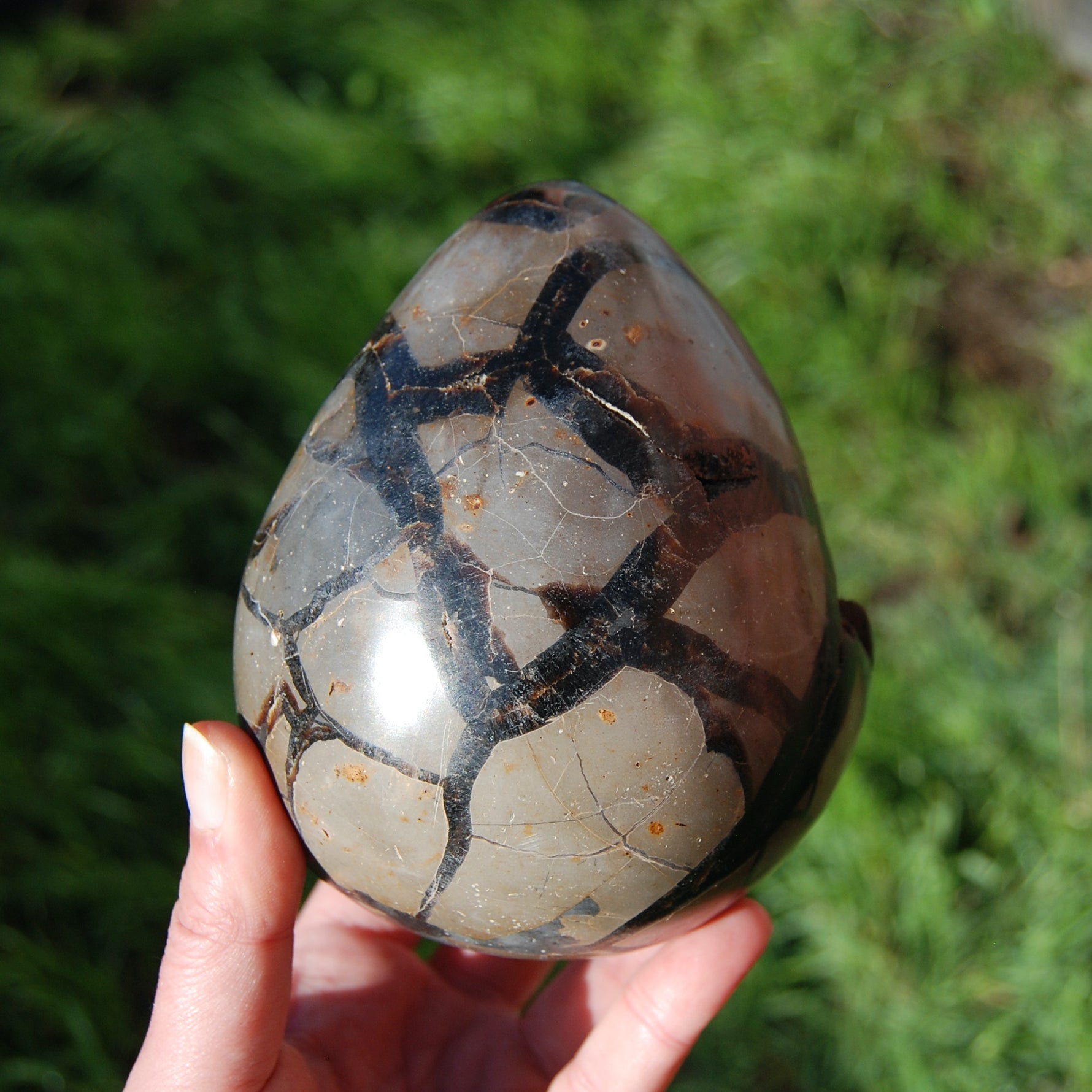 Septarian Dragon Egg Geode Crystal
