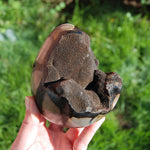 Septarian Dragon Egg Geode Crystal