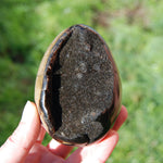 Septarian Dragon Egg Geode Crystal