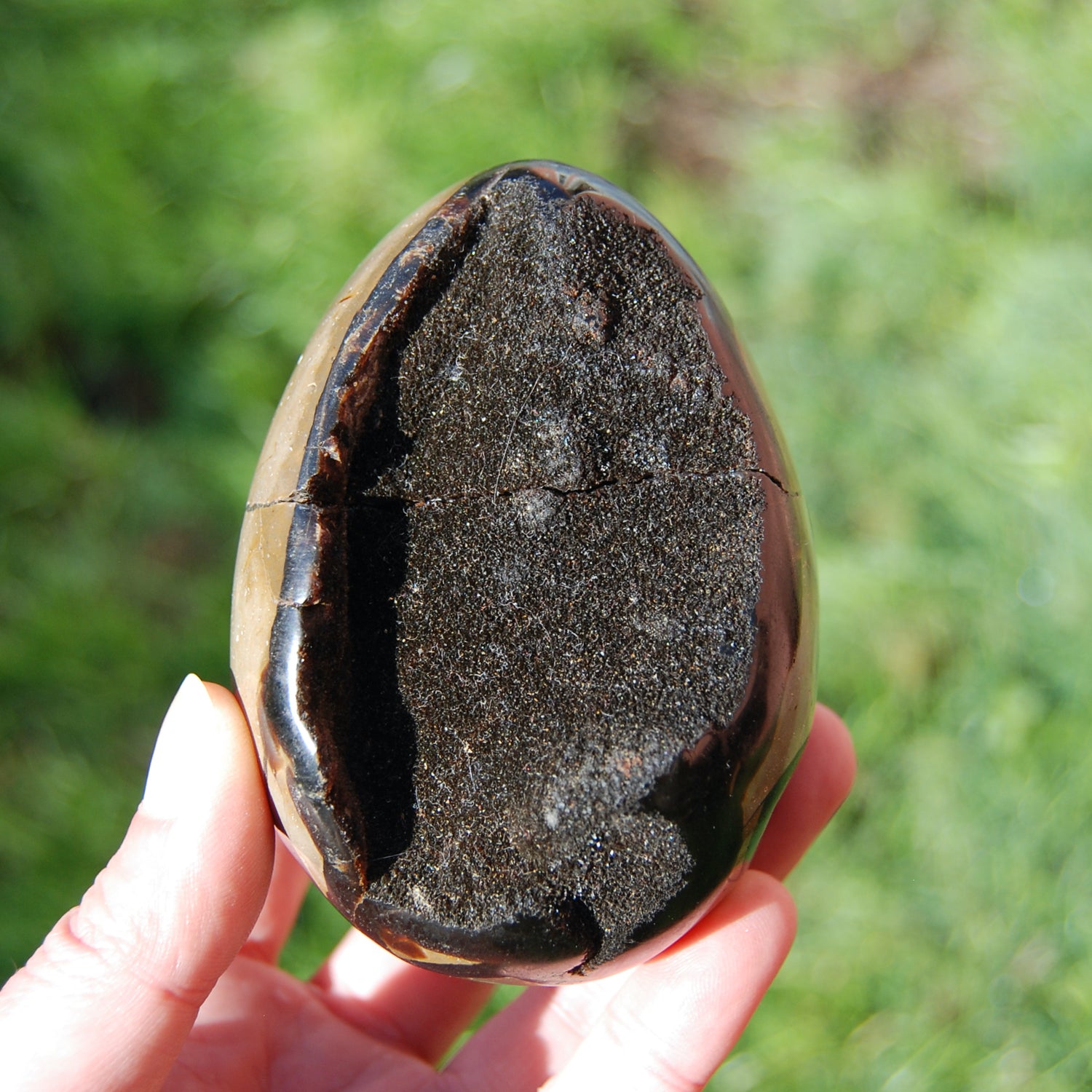 Septarian Dragon Egg Geode Crystal