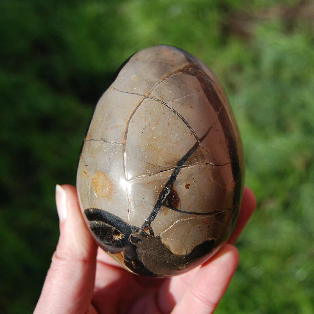 Septarian Dragon Egg Geode Crystal