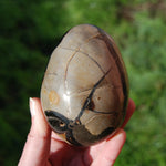 Septarian Dragon Egg Geode Crystal