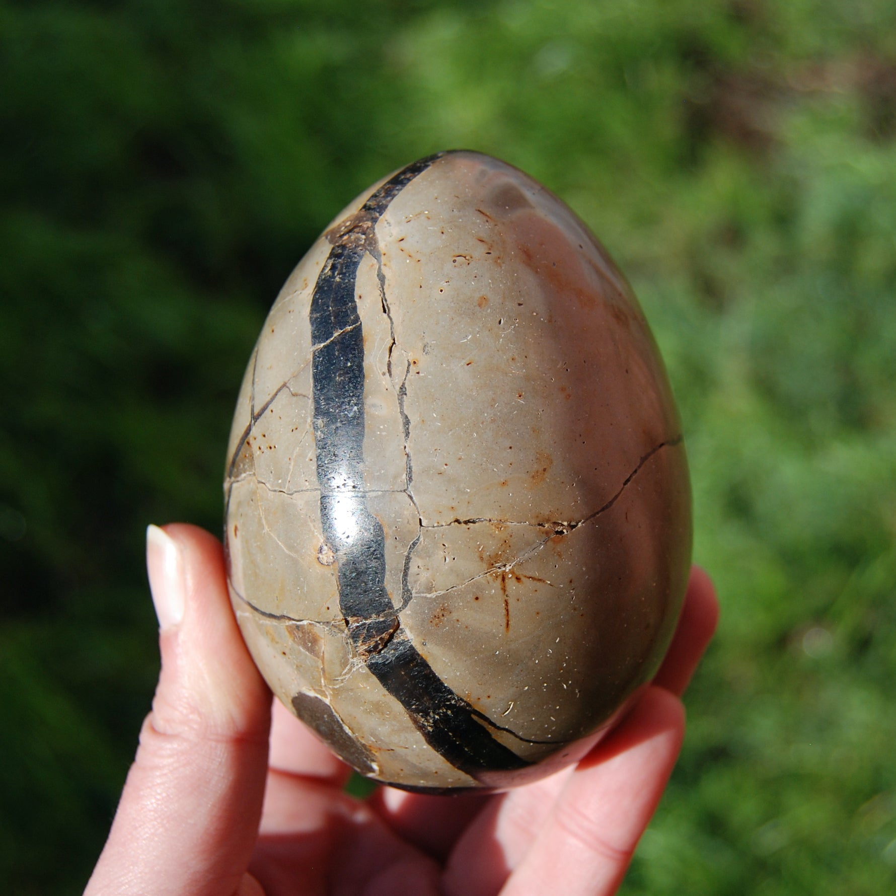 Septarian Dragon Egg Geode Crystal