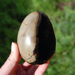 Septarian Dragon Egg Geode Crystal