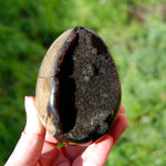 Septarian Dragon Egg Geode Crystal