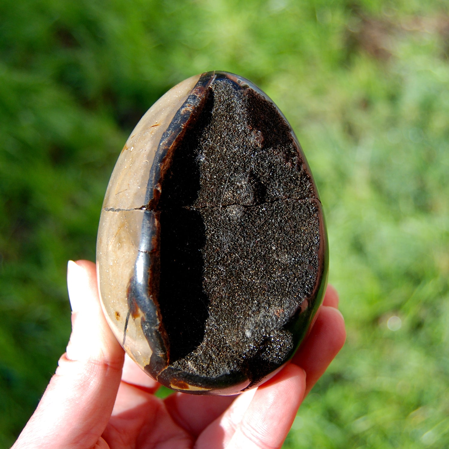 Septarian Dragon Egg Geode Crystal