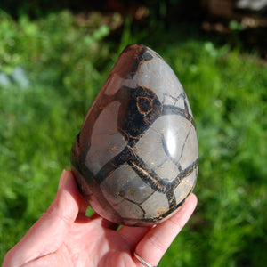 Septarian Dragon Egg Geode Crystal