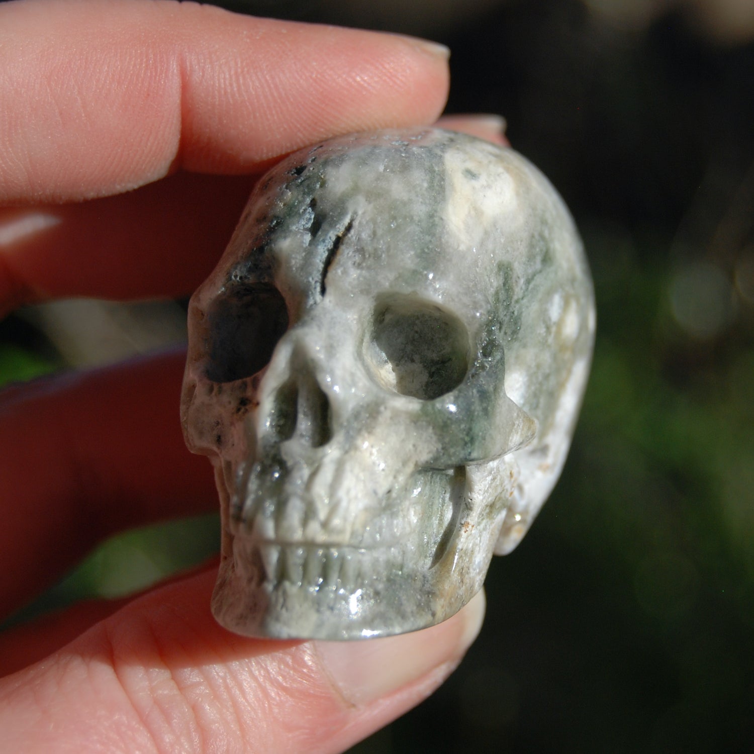 Ocean Jasper Carved Crystal Skull Realistic Gemstone Carving