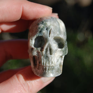 Ocean Jasper Carved Crystal Skull Realistic Gemstone Carving