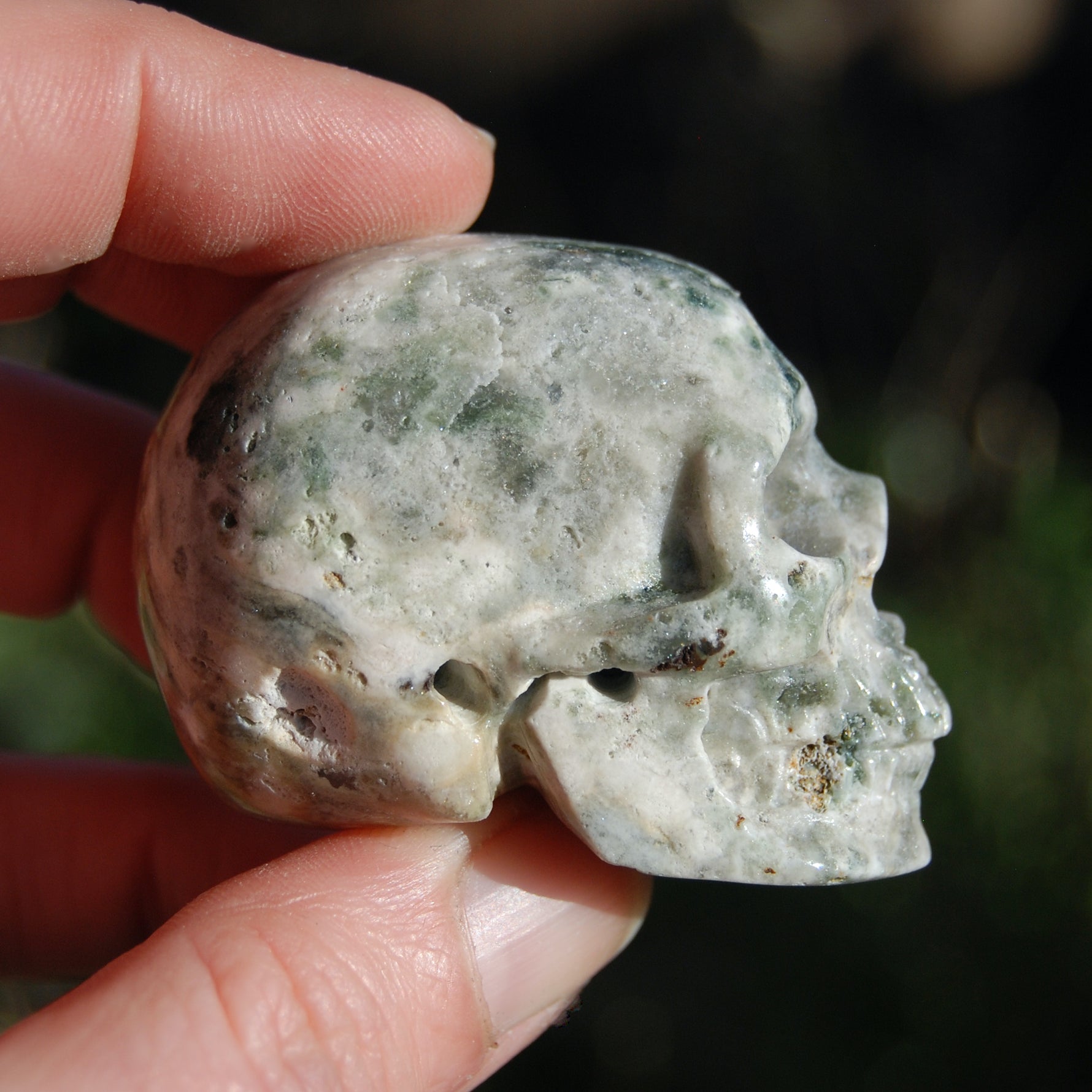 Ocean Jasper Carved Crystal Skull Realistic Gemstone Carving