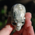 Ocean Jasper Carved Crystal Skull Realistic Gemstone Carving