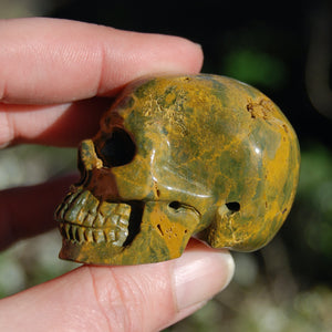 Ocean Jasper Carved Crystal Skull Realistic Gemstone Carving