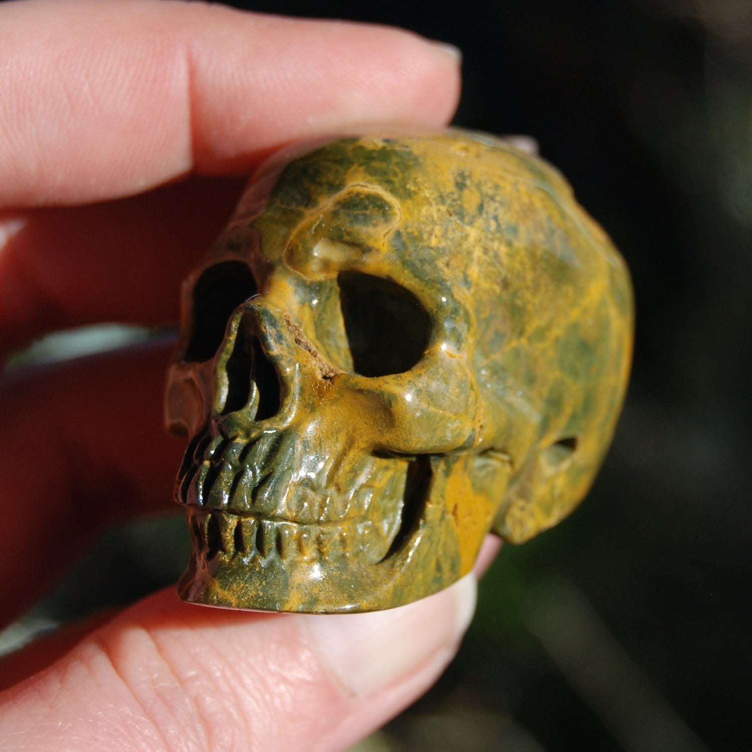 Ocean Jasper Carved Crystal Skull Realistic Gemstone Carving