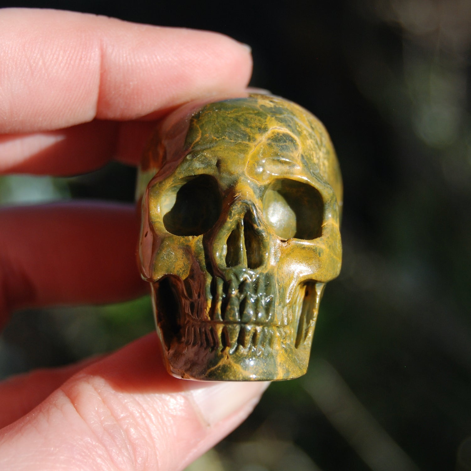Ocean Jasper Carved Crystal Skull Realistic Gemstone Carving