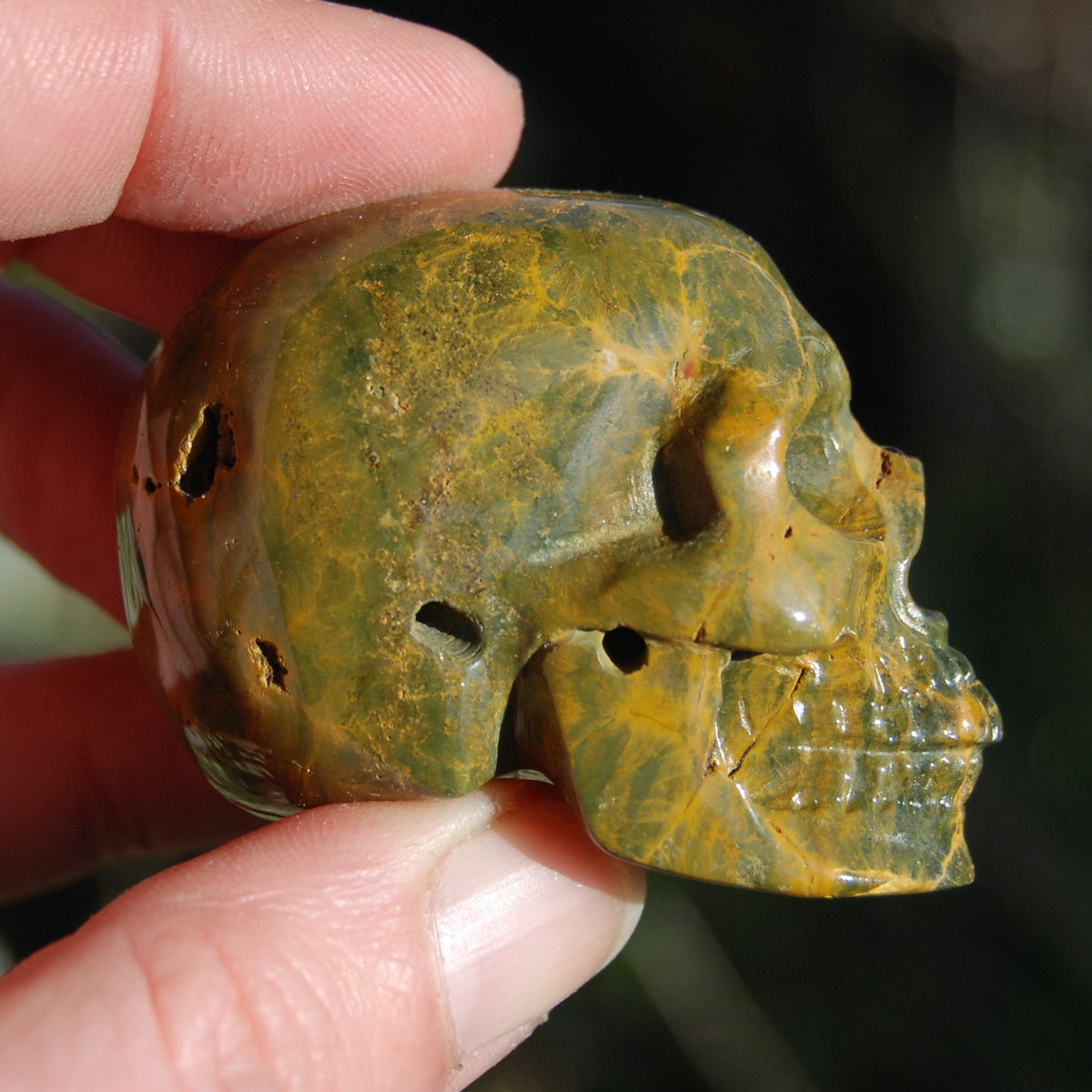 Ocean Jasper Carved Crystal Skull Realistic Gemstone Carving