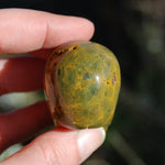 Ocean Jasper Carved Crystal Skull Realistic Gemstone Carving