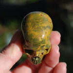 Ocean Jasper Carved Crystal Skull Realistic Gemstone Carving