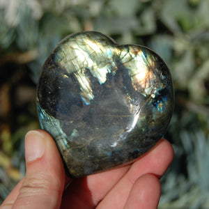 Large Labradorite Crystal Heart Shaped Palm Stone