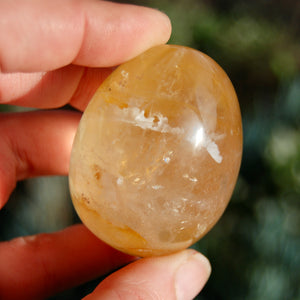ONE Golden Healer Hematoid Quartz Crystal Palm Stone