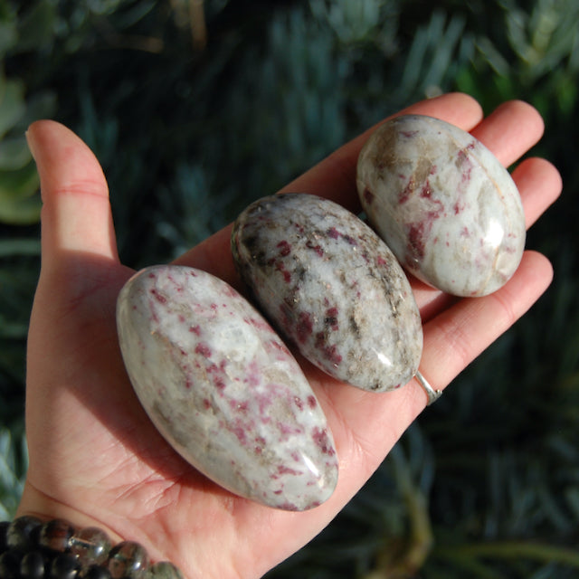 ONE Rubellite Pink Tourmaline Crystal Crystal Palm Stone