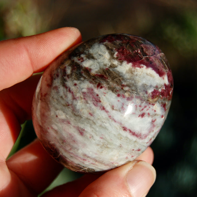 ONE Rubellite Pink Tourmaline Crystal Crystal Palm Stone