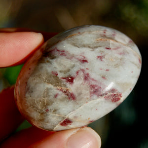 ONE Rubellite Pink Tourmaline Crystal Crystal Palm Stone