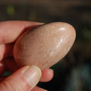 Peach Moonstone Crystal Palm Stone