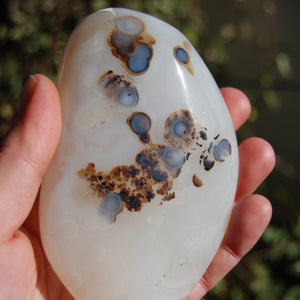 Dendritic Agate Polished Crystal Palm Stone