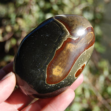 Load image into Gallery viewer, Polychrome Jasper Carved Crystal Palm Stone
