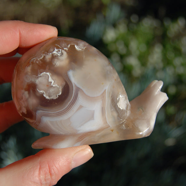 Sakura Flower Agate Crystal Snail Carving
