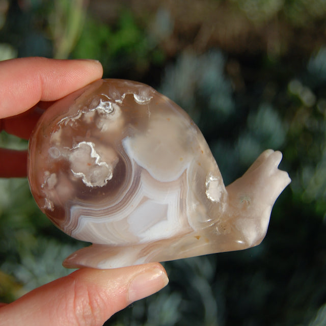 Sakura Flower Agate Crystal Snail Carving