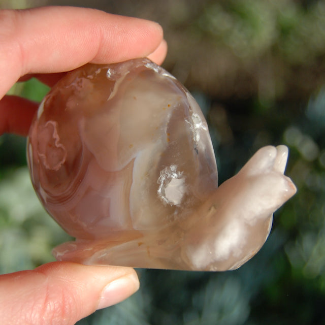 Sakura Flower Agate Crystal Snail Carving