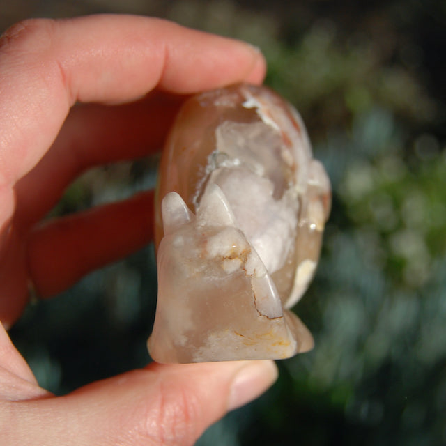 Sakura Flower Agate Crystal Snail Carving