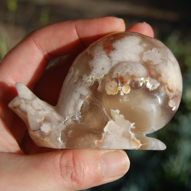 Sakura Flower Agate Crystal Snail Carving