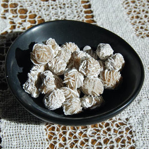 Small Gypsum Desert Rose Mineral Specimens Natural Crystal Concha