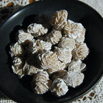 Small Gypsum Desert Rose Mineral Specimens Natural Crystal Concha