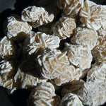 Small Gypsum Desert Rose Mineral Specimens Natural Crystal Concha