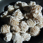 Small Gypsum Desert Rose Mineral Specimens Natural Crystal Concha