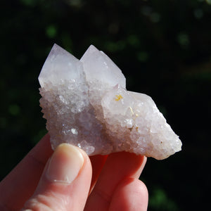 Amethyst Spirit Quartz Crystal Cluster, South Africa