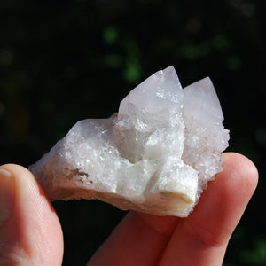 Amethyst Spirit Quartz Crystal Cluster, South Africa