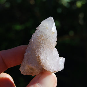 Amethyst Spirit Quartz Crystal Cluster, South Africa