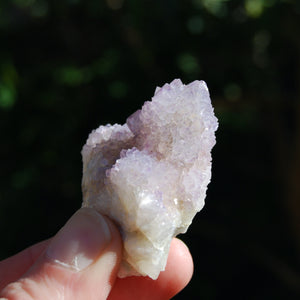 Amethyst Spirit Quartz Crystal Cluster, South Africa