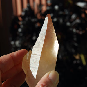 Strawberry Pink Lemurian Seed Quartz Crystal Starbrary, Record Keepers, Brazil