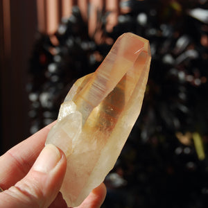 Strawberry Pink Lemurian Seed Quartz Crystal Starbrary, Record Keepers, Brazil