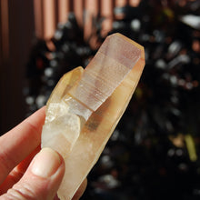 Load image into Gallery viewer, Strawberry Pink Lemurian Seed Quartz Crystal Starbrary, Record Keepers, Brazil
