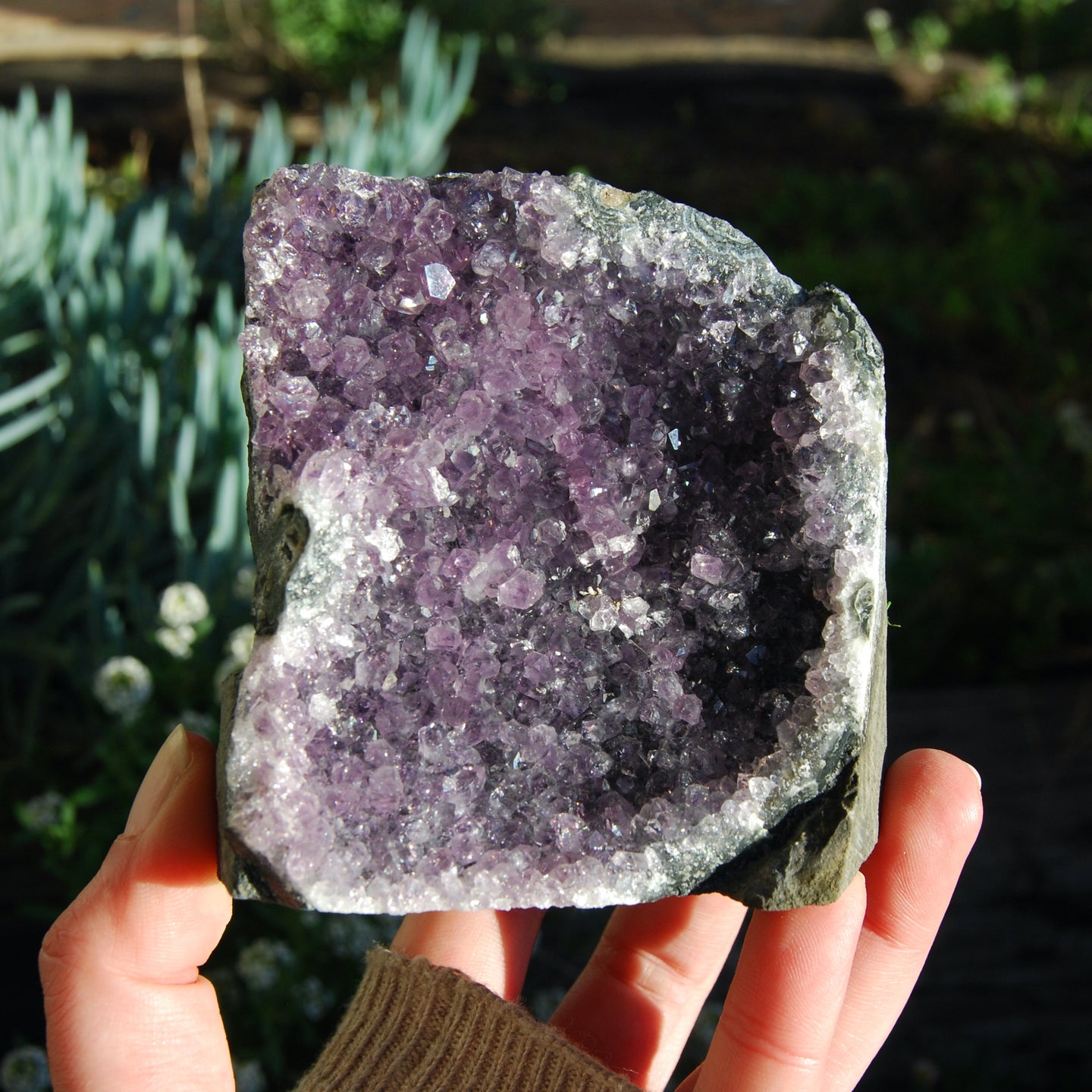 Amethyst Geode Crystal Cathedral Cluster Uruguay Self Standing