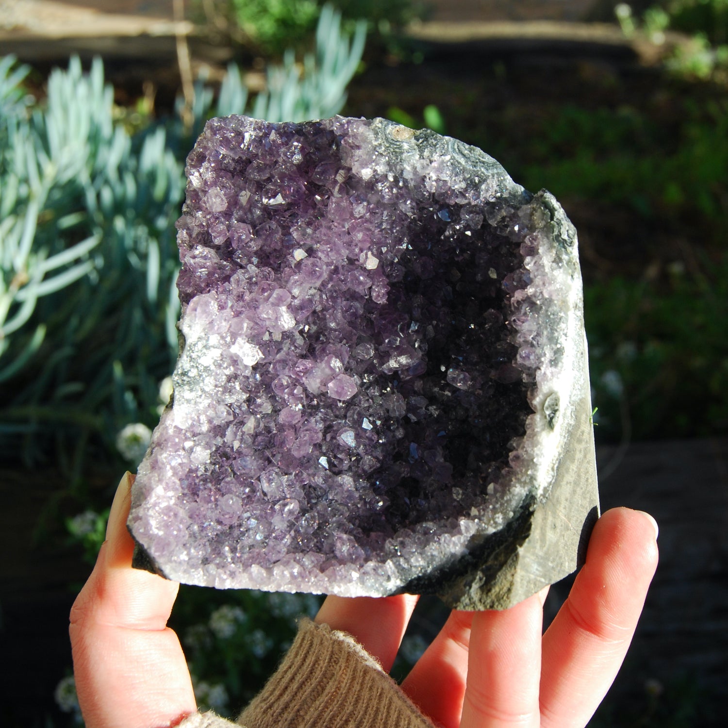 Amethyst Geode Crystal Cathedral Cluster Uruguay Self Standing