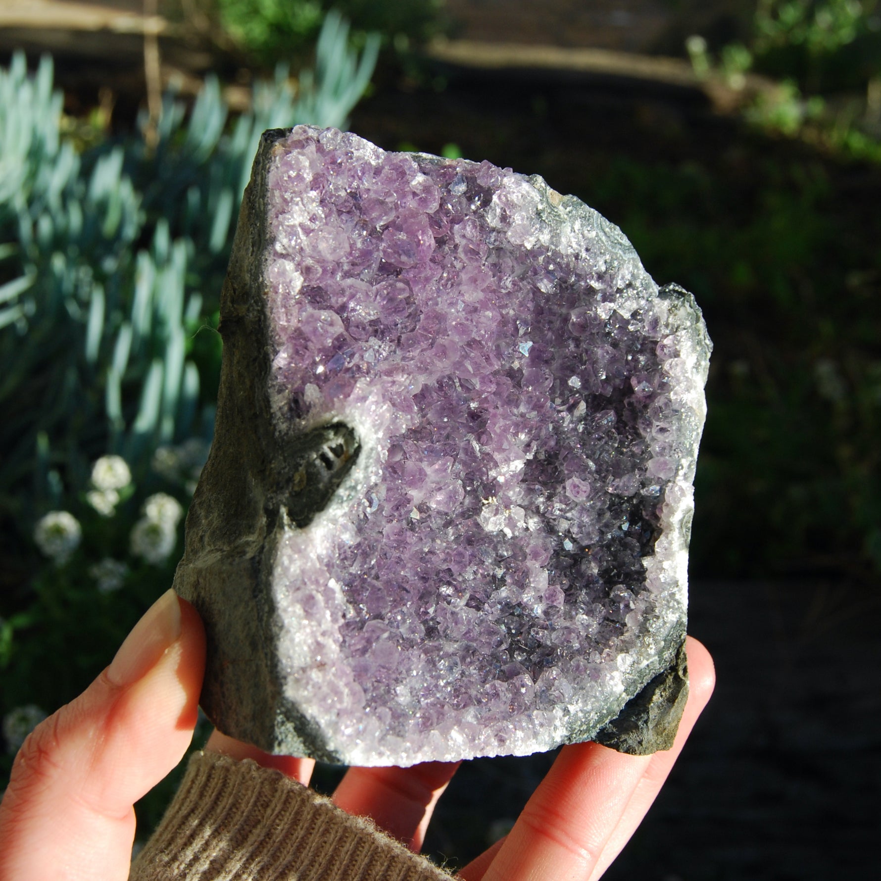 Amethyst Geode Crystal Cathedral Cluster Uruguay Self Standing