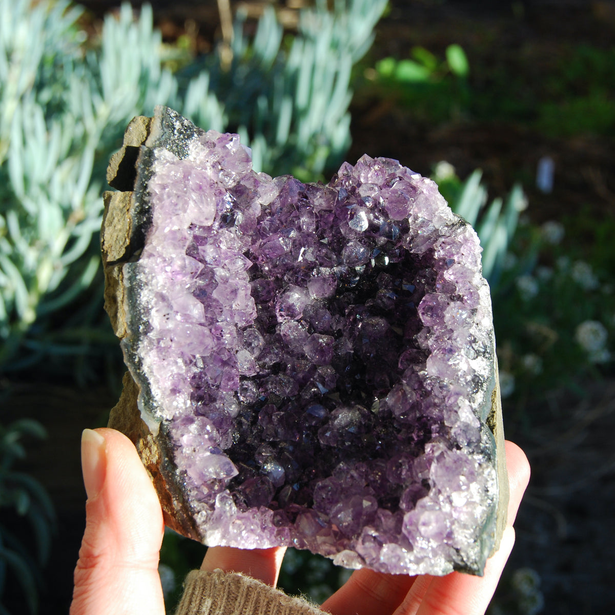 Amethyst Geode Crystal Cathedral Cluster Uruguay Self Standing