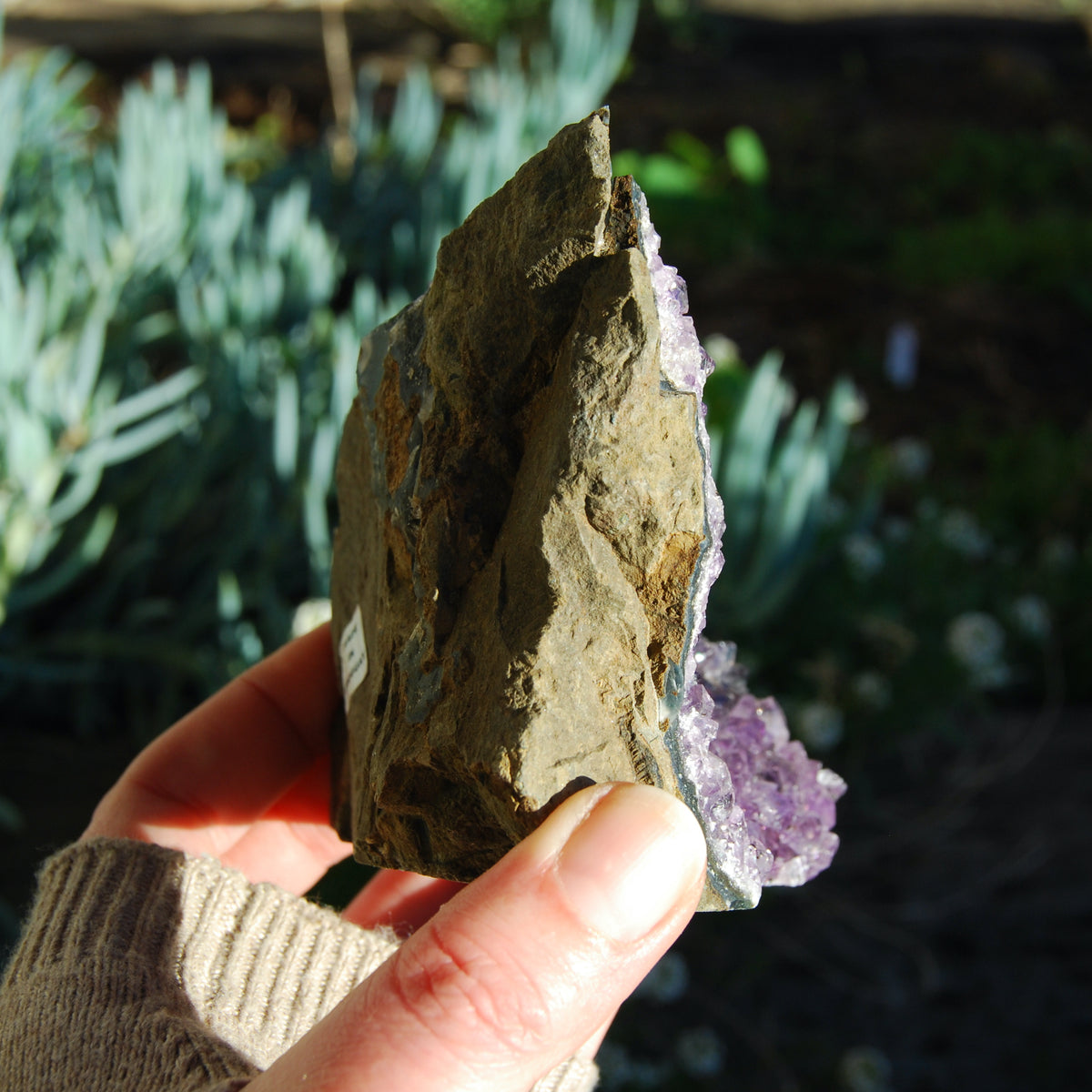 Amethyst Geode Crystal Cathedral Cluster Uruguay Self Standing